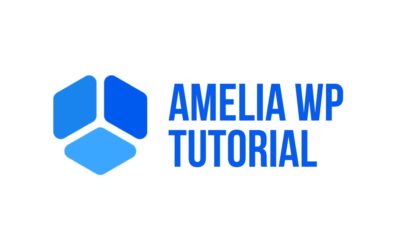 Amelia WP Group Discount (FREE)